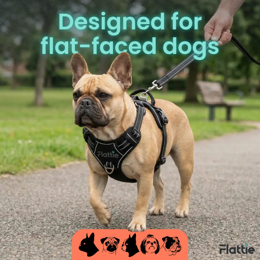 Flattie® EasyBreath Harness