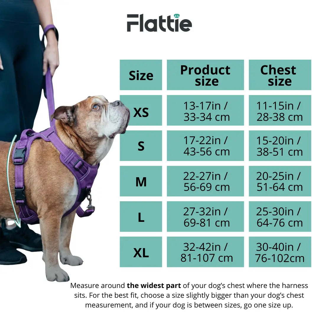 Flattie® EasyBreath Harness